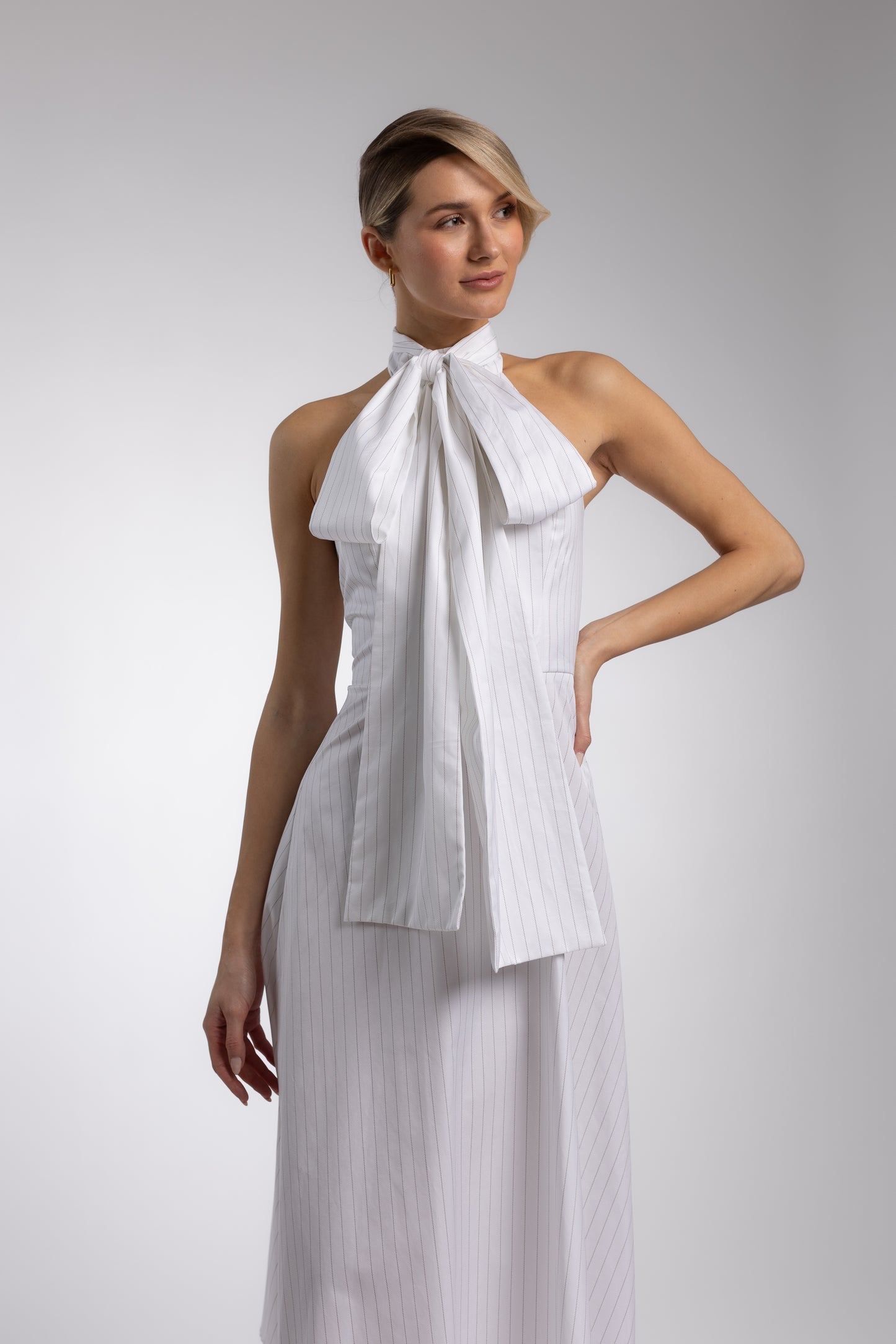 
                  
                    ARA DRESS
                  
                